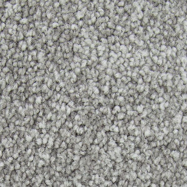 Lifeproof with Petproof Technology Gentle Peace II  - North Wind - Gray 55 oz. Triexta Texture Installed Carpet