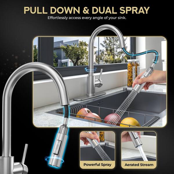 ブッシュ　スマート １６台セット ANZZI Expedition 16 in. 1-Handle Pull-Down Sprayer Kitchen Faucet
