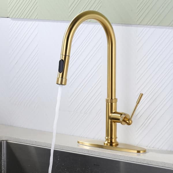 Single Handle Pull Down Sprayer Kitchen Faucet with 2-Water Modes Stainless Steel in Gold