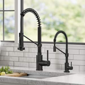 Bolden Single Handle Pull Down Sprayer Kitchen Faucet and Water Filter Faucet Combo in Matte Black