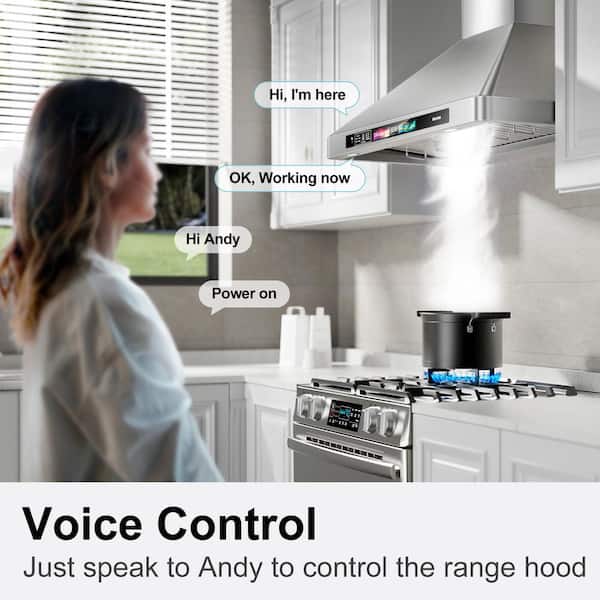 30 inch Wall Mount Range Hood 900 CFM Voice/Gesture Control, Stainless Steel Kitchen Hood Ducted/Ductless Convertible