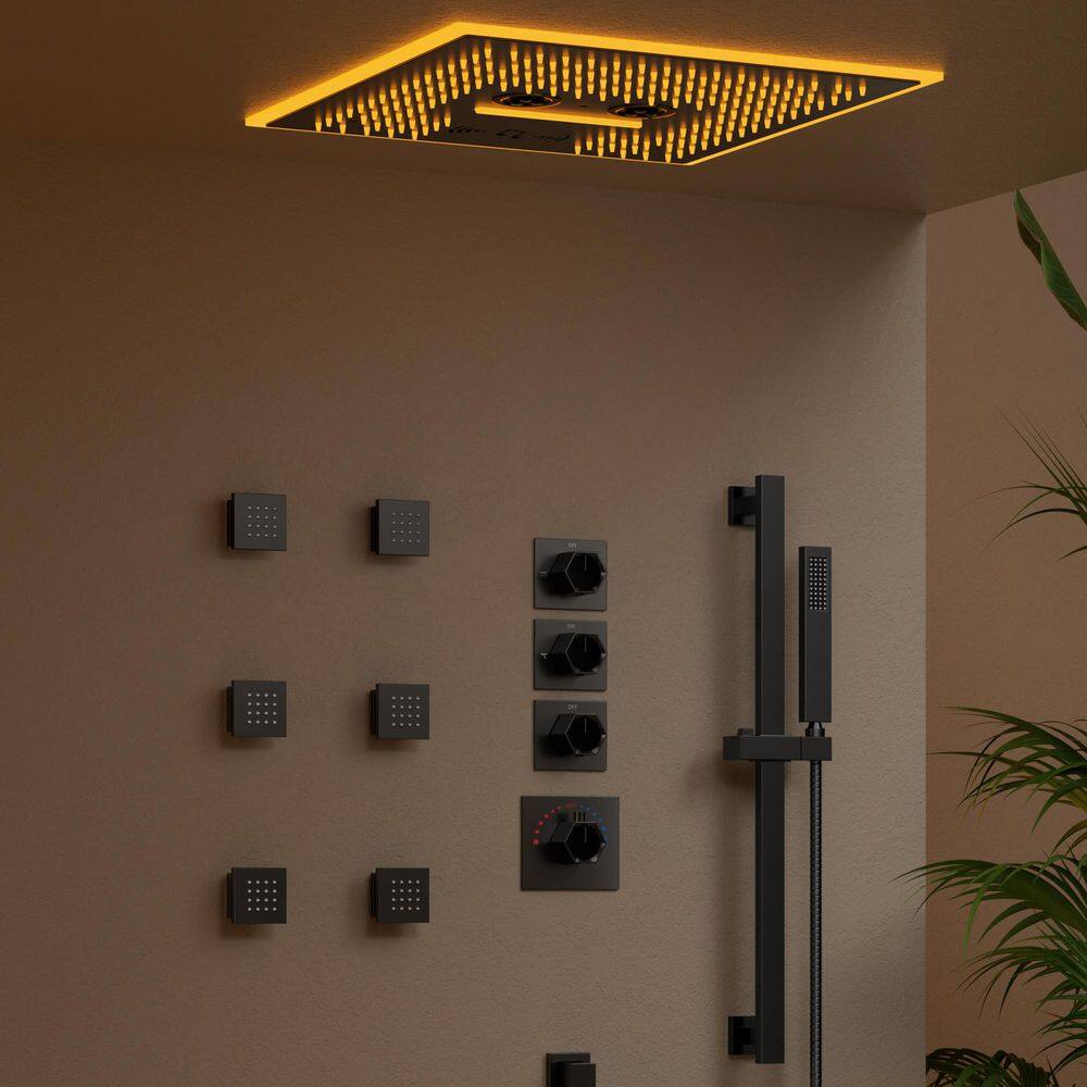 16 in. Square AuroraMist Shower System 17-Spray Dual Ceiling Mount Fixed and Handheld Shower Head 2.5 GPM in Matte Black price history on PriceWatchPro