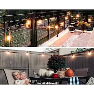 12 Bulb 24 ft. Indoor Outdoor/Indoor Black Vintage Color Changing LED String Lights with Remote, Acrylic Edison Bulbs