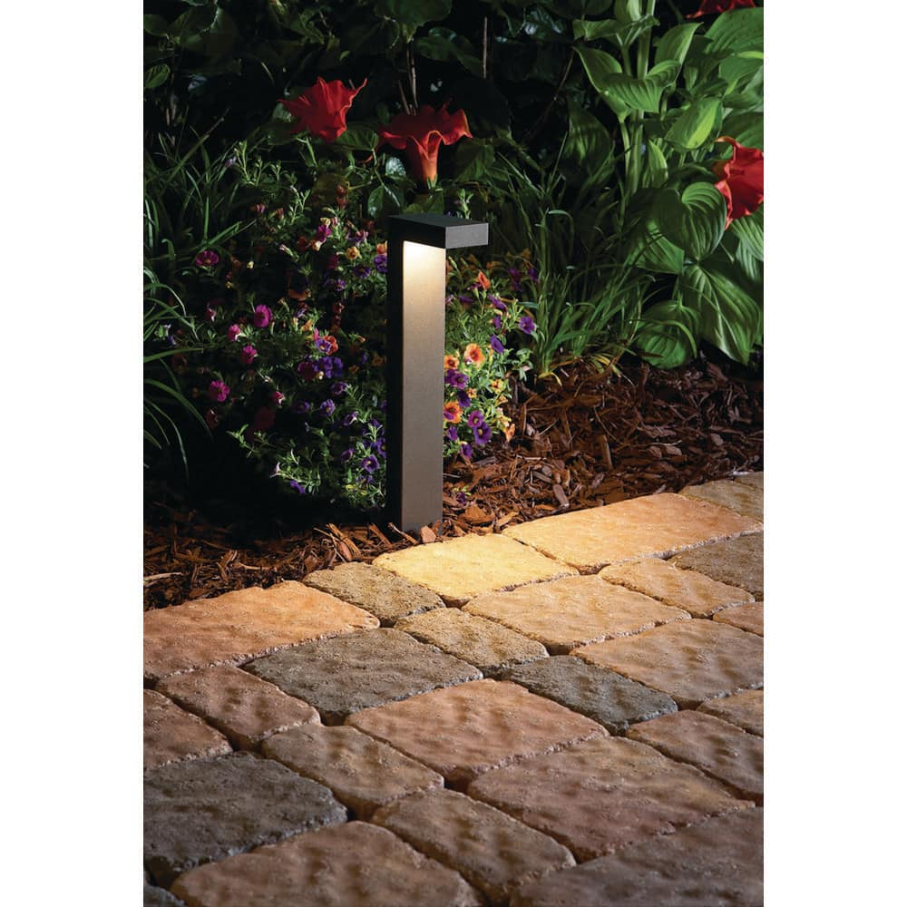 バラ売り可 J庭58 BeLTOON Backlight フラッシュライト 愛欲