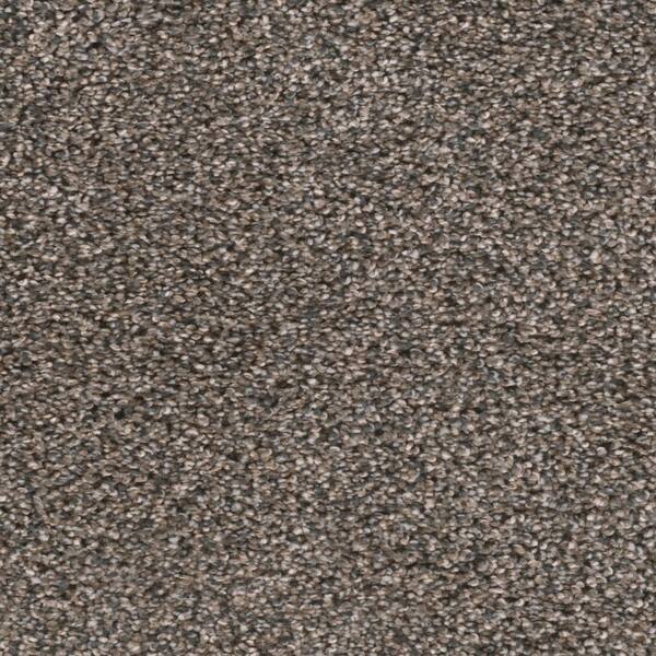 Home Decorators Collection 8 in. x 8 in. Texture Carpet Sample ...