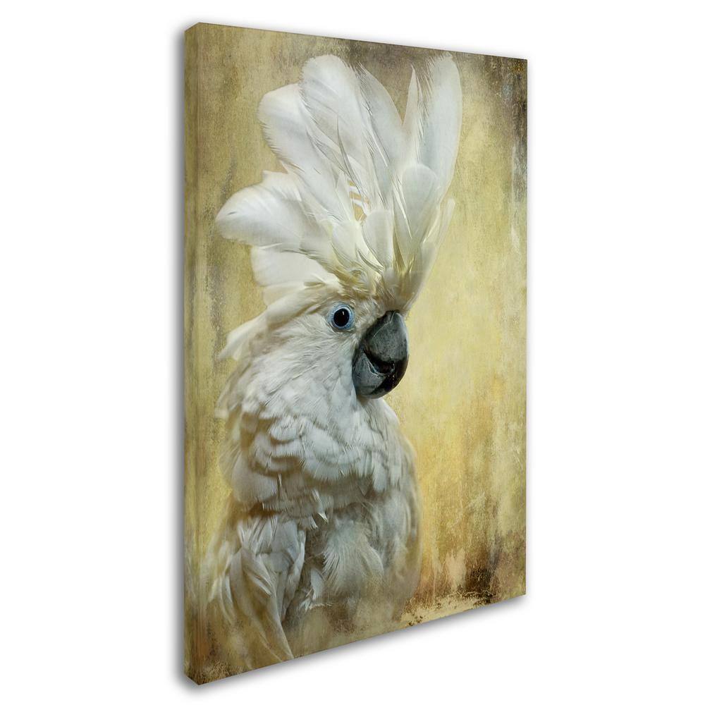 Lois Bryan Cocktoo Portrait Canvas Art with Floater Frame