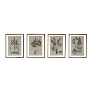 4 Piece Framed Graphic Print Botanical Nature Art Print 15.75 in. H x 11.75 in.