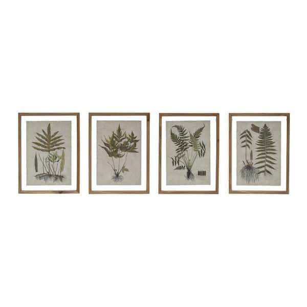 Storied Home 4 Piece Framed Graphic Print Botanical Nature Art Print 15.75 in. H x 11.75 in.