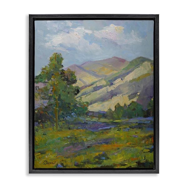 Stupell Industries Spring Day Mountain by Alexi Fine Black Floater Frame Nature Graphic Art Print 31 in. x 25 in.