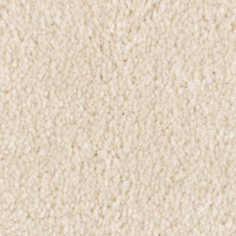 8 in. x 8 in. Texture Carpet Sample - Mason II -Color Serenity price history on PriceWatchPro