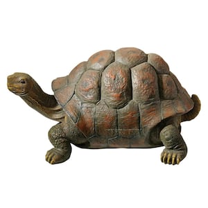 13 in. H The Cagey Tortoise Medium Statue