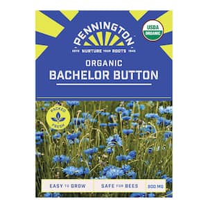 Organic Bachelor Button Flower Seeds