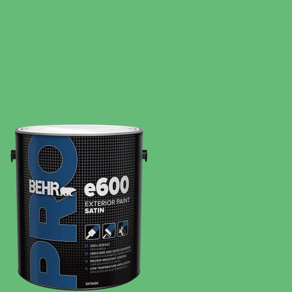 1 gal. #450B-5 Lady Luck Satin Exterior Paint