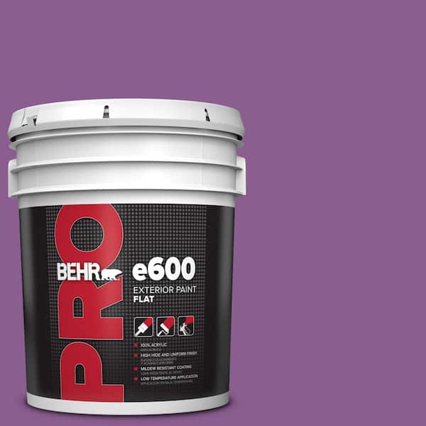 BEHR PRO 5 gal. #P100-6 Chakra Flat Exterior Paint