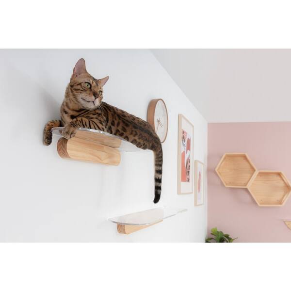 cheap cat shelves