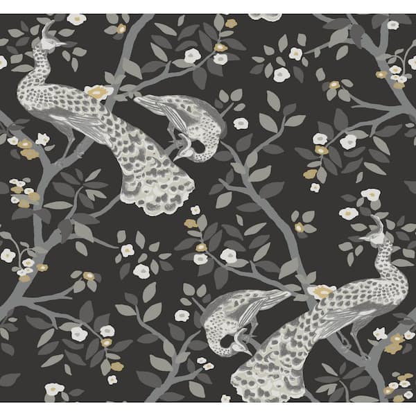 York Wallcoverings 60.75 sq.ft. Black Plume Wallpaper