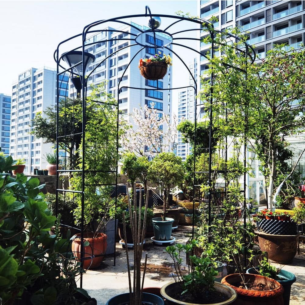 114.2 in. x 81.3 in. Birdcage Gazebo Heavy-Duty Wrought Iron Arbor price history on PriceWatchPro