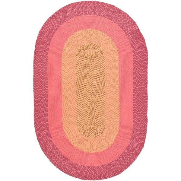 SAFAVIEH Braided Multi 8 ft. x 10 ft. Oval Area Rug
