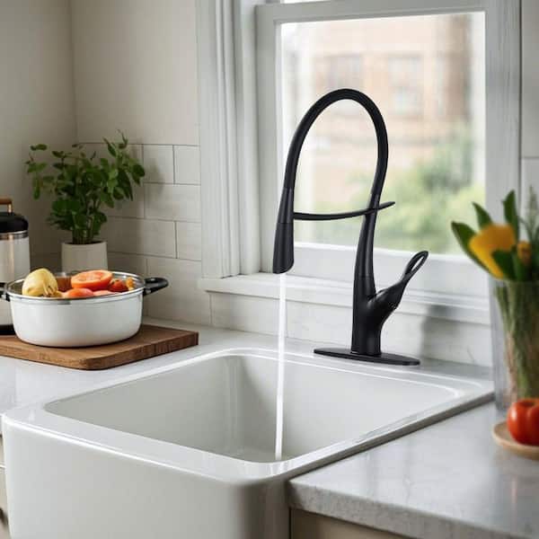 19.9 in. H Single Handle Pull-Down Sprayer Kitchen Faucet Included Deckplate in Matte Black
