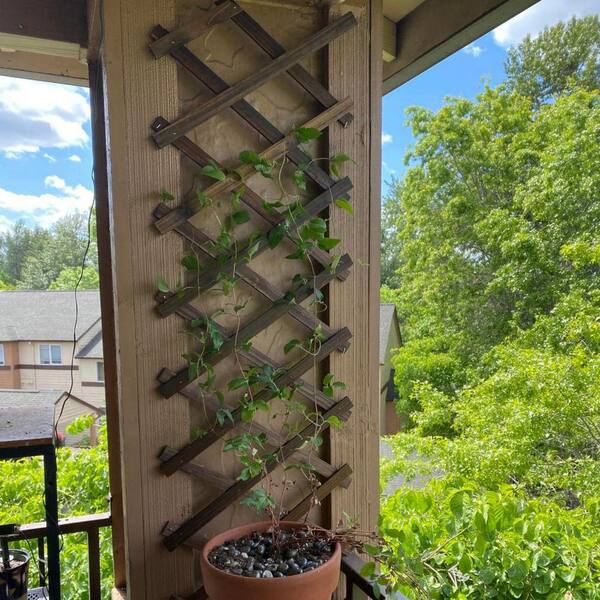 67 in. H Wooden Wall-Expandable Plant Garden Trellis Outdoor Air Plant  Vertical Rack D0CLP6TVW6 - The Home Depot