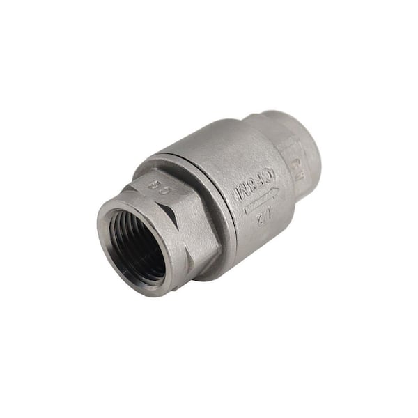 3/4 in. 316 Stainless Steel 200 PSI Full Port Vertical Check Valve (2-Pieces)