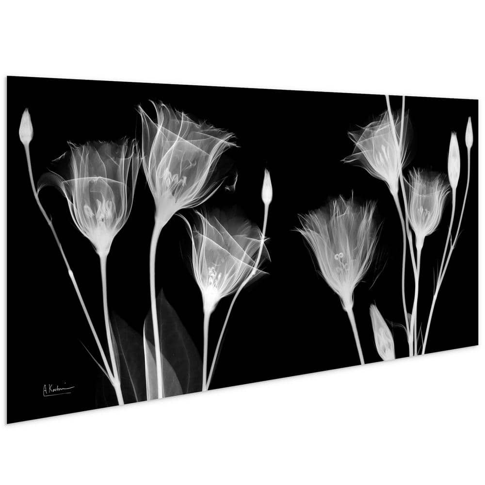 Gentian X-Ray Black and White Tempered Glass Wall Art, 24" x 48"