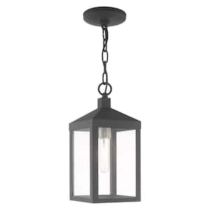Creekview 14.5 in. 1-Light Scandinavian Gray Dimmable Outdoor Pendant Light with Clear Glass and No Bulbs Included