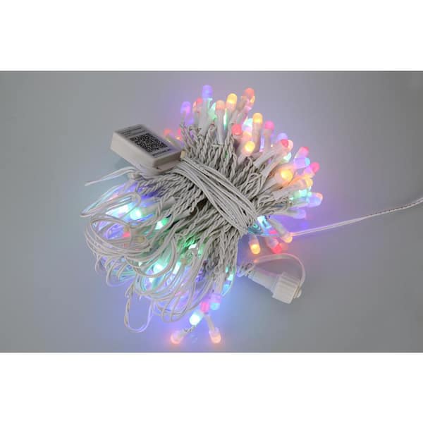 Avatar Controls Globe 32.8 ft. 66 LED Outdoor Dreamcolor Smart String Lights with IR Remote
