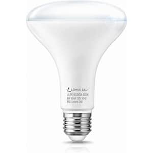 65-Watt Equivalent BR30 Bright Happy LED Bulb 5000K Daylight (1-Pack)