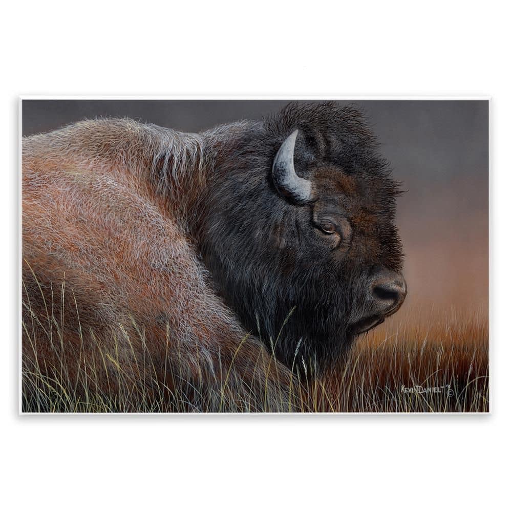 Detailed Bison Close Up by Kevin Daniel Unframed Animal Graphic Art Print 10 in. x 15 in. price history on PriceWatchPro