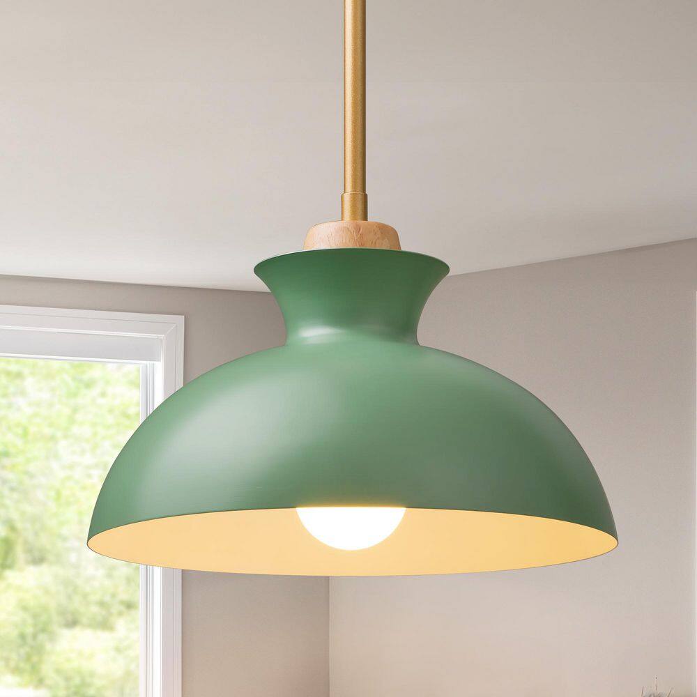 EDISHINE Manor 60 -Watt 1 Light Green Modern Farmhouse Barn