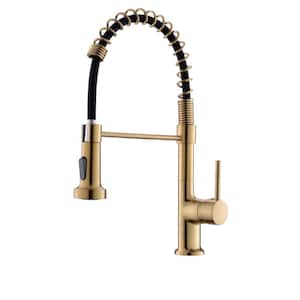 Single-Handle Pull Down Sprayer Kitchen Faucet, Modern High-Arc Pull Out Kitchen Sink Faucet in Brushed Gold