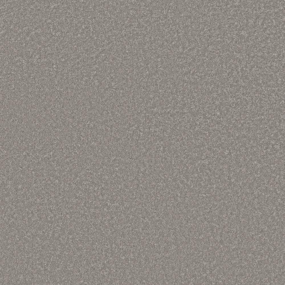 8 in. x 8 in. Texture Carpet Sample - Vacation - Color Dove
