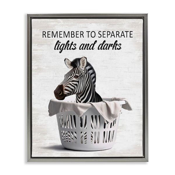 Stupell Industries Separate Laundry and Zebra by Lettered and Lined Gray Floater Frame Typography Graphic Art Print 21 in. x 17 in.