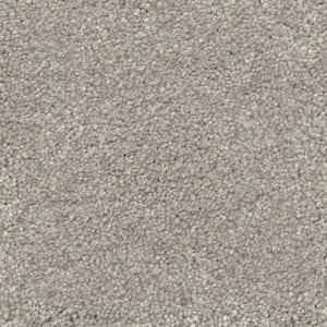 Fast Performer  - Hallet - Gray 40 oz. SD Polyester Texture Installed Carpet