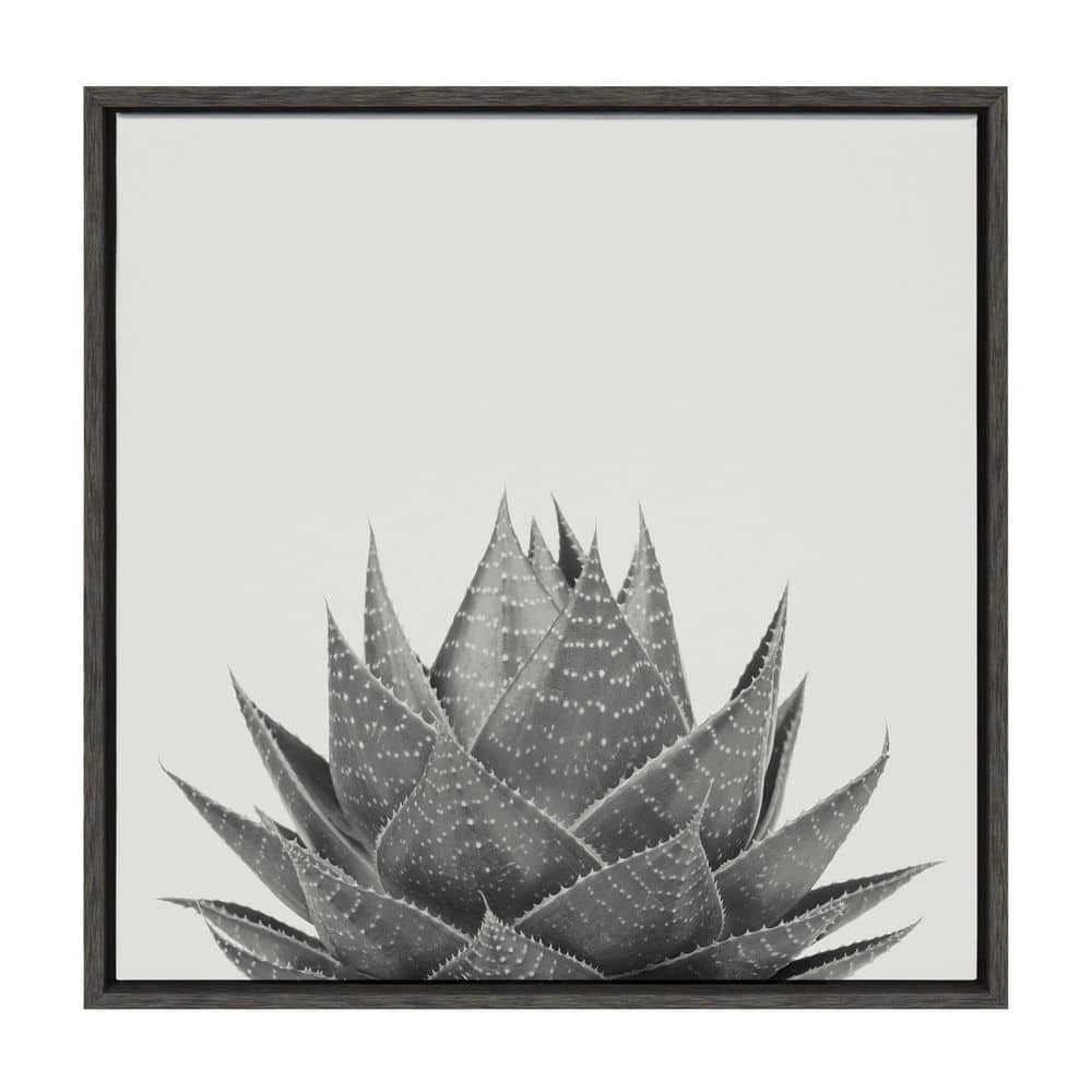 22" Gray Framed Aloe Succulent Canvas Print