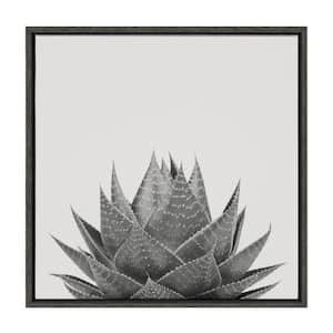 Haze Aloe Succulent by The Creative Bunch Studio Framed Culture Canvas Wall Art Print 22.00 in. x 22.00 in.