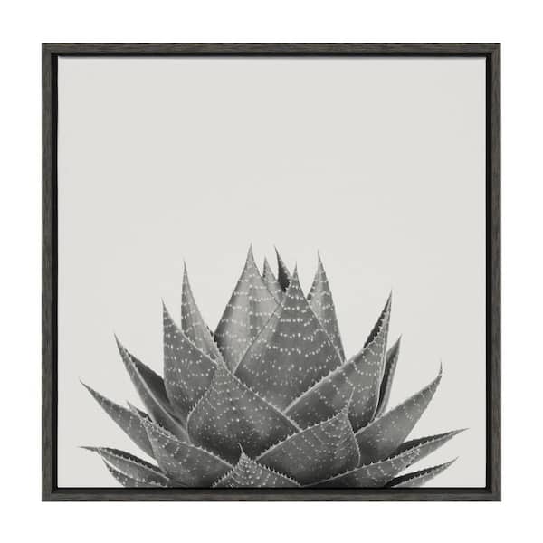 Kate and Laurel Haze Aloe Succulent by The Creative Bunch Studio Framed Culture Canvas Wall Art Print 22.00 in. x 22.00 in.