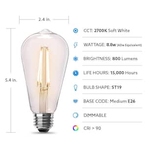 60-Watt Equivalent ST19 Dimmable Straight Filament Clear E26 Vintage Edison LED Light Bulb, Soft White 2700K (2-Pack)