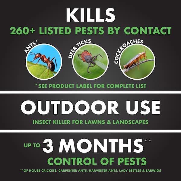 40 oz. Triazicide Insect Killer for Lawns and Landscapes Concentrate (4-Pack)