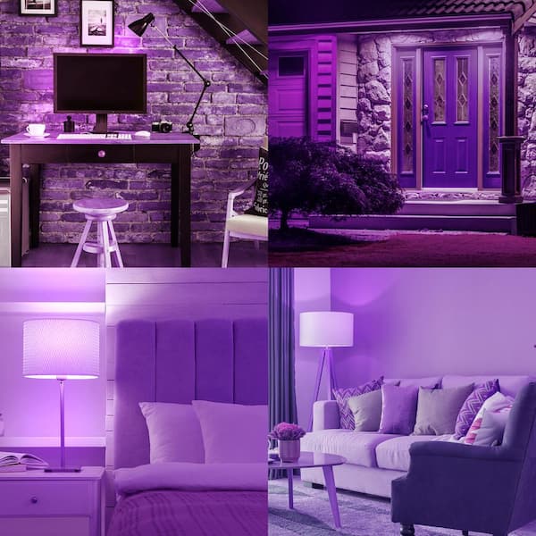 LUXRITE 60-Watt Equivalent A19 Edison LED Purple Light Bulb, 4.5