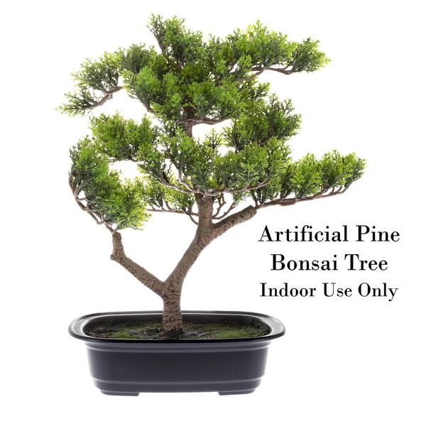 500 Garden Zen: Bonsai ideas  bonsai, bonsai garden, bonsai plants