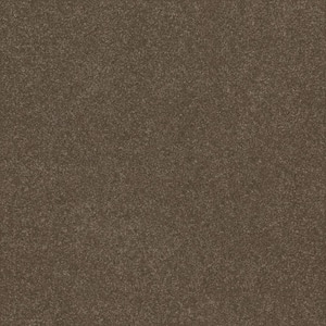 House Party I - Ridgeview - Brown 37.4 oz. Polyester Texture Installed Carpet