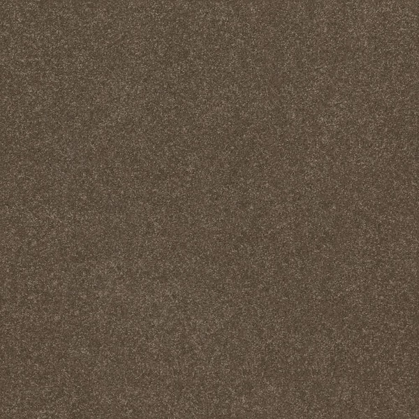 Home Decorators Collection House Party I - Ridgeview - Brown 15 ft. 37.4 oz. Polyester Texture Installed Carpet