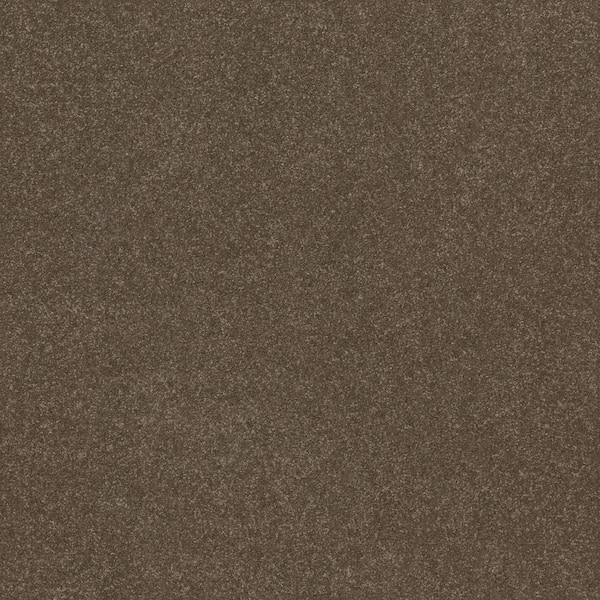 Home Decorators Collection House Party II - Ridgeview - Brown 15 ft. 51.5 oz. Polyester Texture Installed Carpet