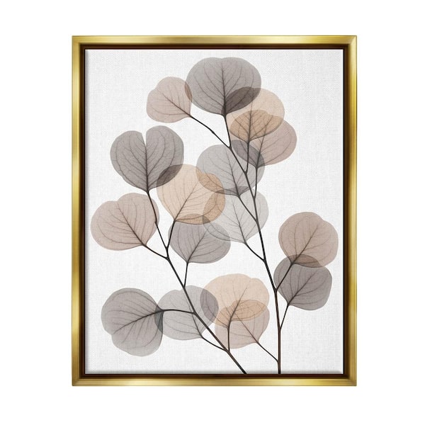 The Stupell Home Decor Collection Modern Eucalyptus Leaf Stems Translucent Leaves by Albert Koetsier Floater Frame Nature Wall Art Print 21 in. x 17 in.