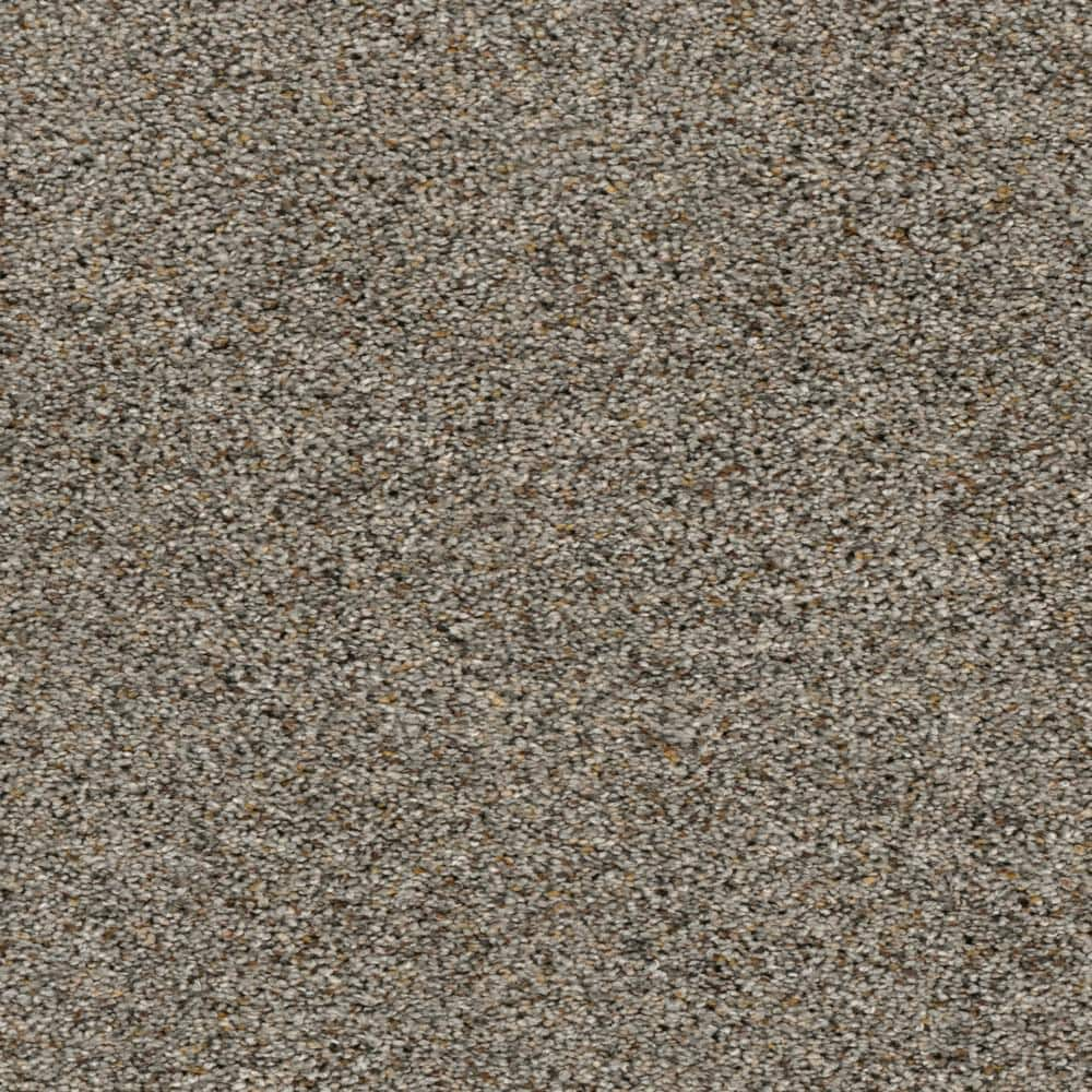 Home Decorators Collection 8 in. x 8 in. Texture Carpet Sample ...