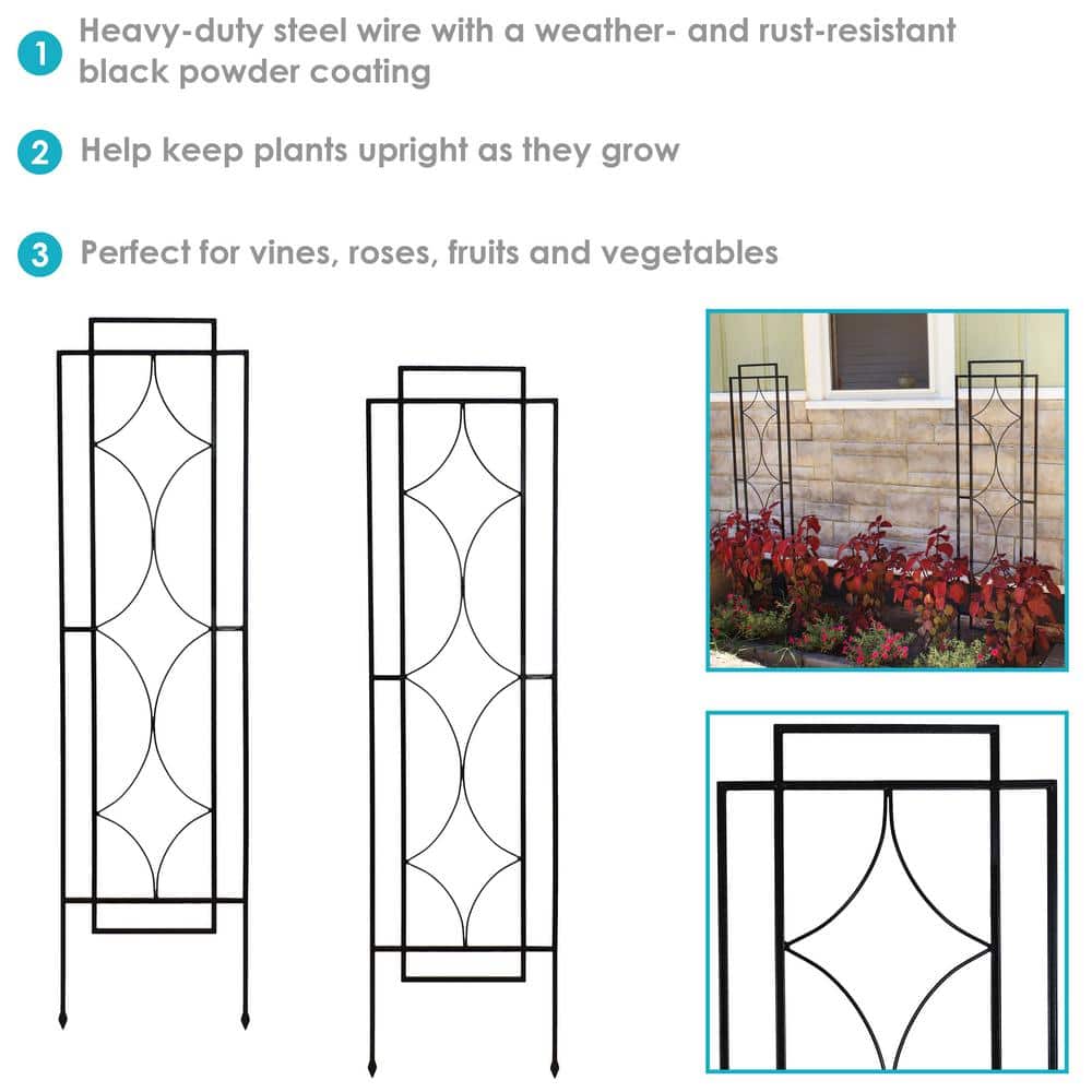 60" Black Steel Diamond Design Garden Trellis Set
