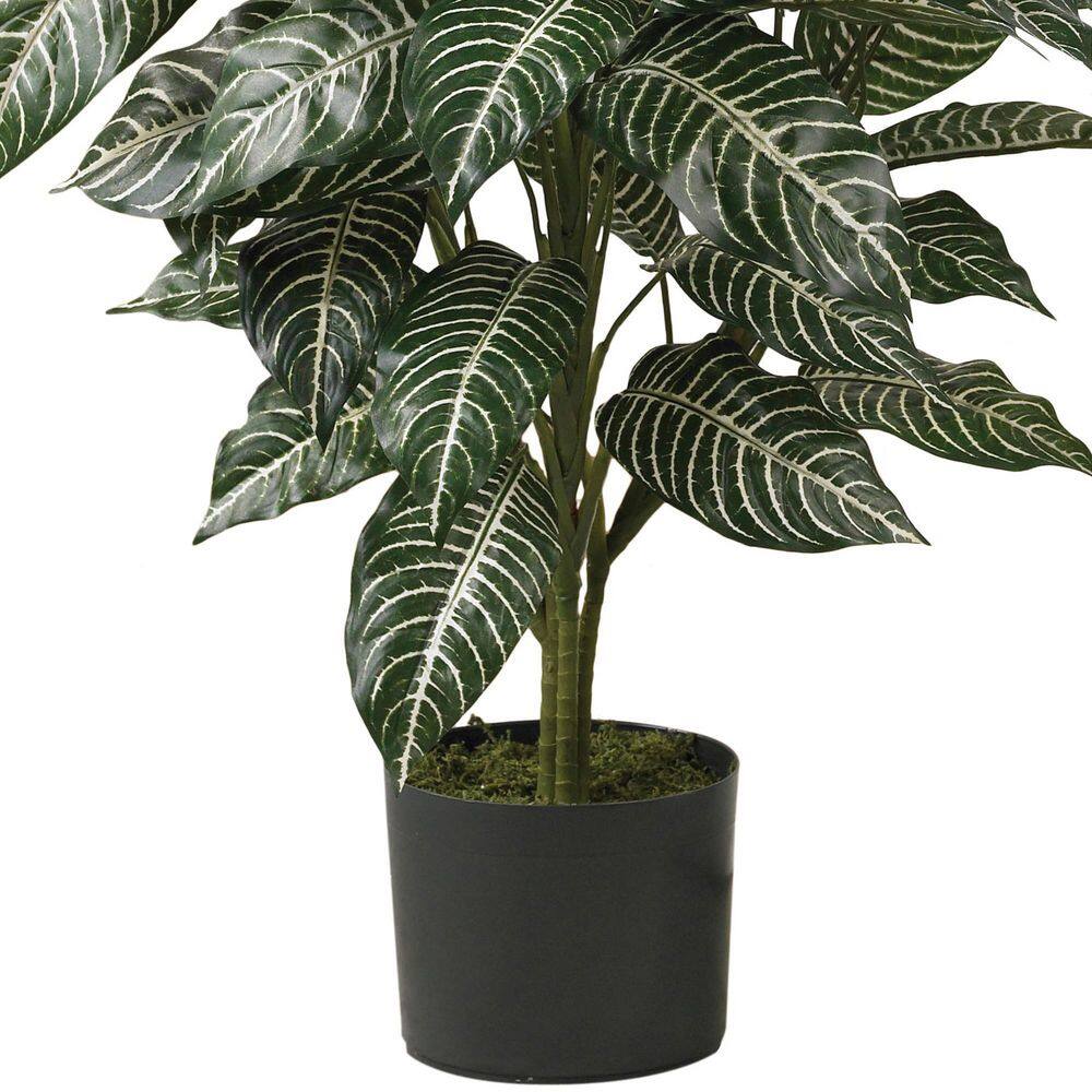 42" Green Silk Zebra Plant in Wicker Pot