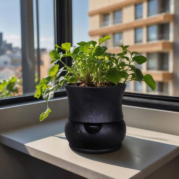 MPG 10 in. Dia x 10 in. H Self Watering Belly Pot in Black